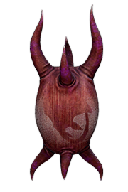 Ancient Stingray Egg