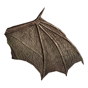 Bat Wing