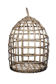 Birdcage