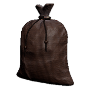 Gold Coin Bag