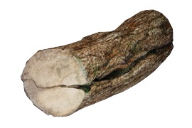 Bûche Fendue