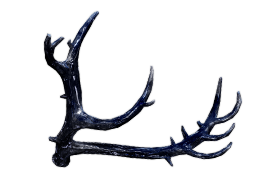 Crown of the Midnight Stag