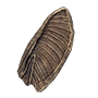 Giant Bat Ear
