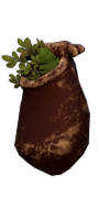 Bourse à Herbes