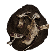 Human Remains