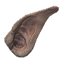 Kobold's Ear