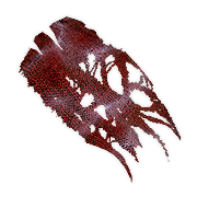 Spectral Fabric