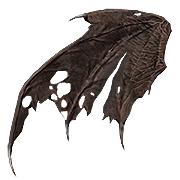 Aile de Chauve-souris Déchirée