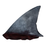 Aileron de Requin Blanc