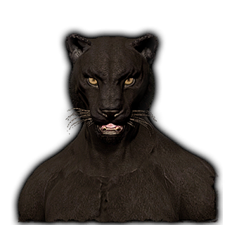Felino